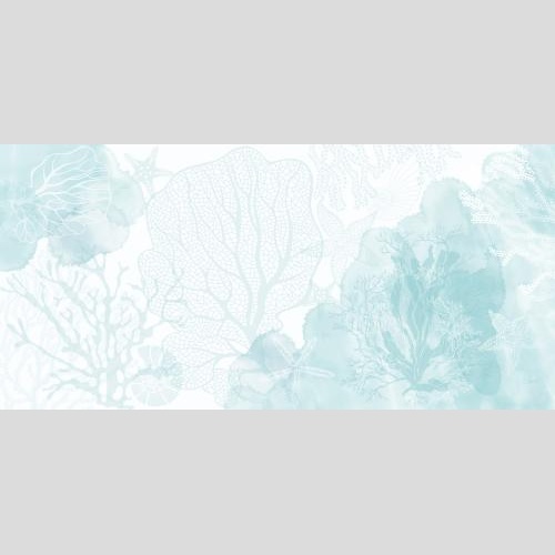 Shell. Vector sea stars shells corals algae watercolor fragments on white