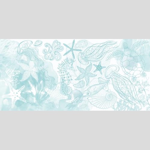 Nautilus. Vector marine animals, sea stars, shells, oysters, mussels, corals, seaweed, watercolor fragments on white