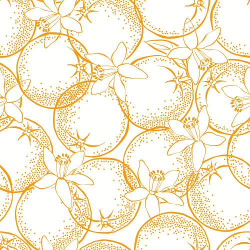 Neroli. Vector oranges and neroli on white