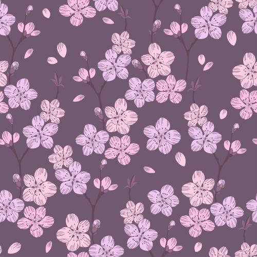 Sakura. Vector sakura flowers in pink shades on gray-pink