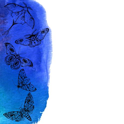 Illustration night butterflies black outlines on blue watercolor space for text on white