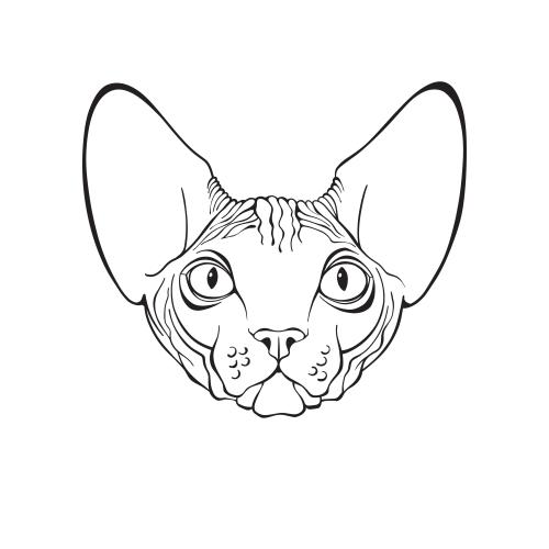 Sphinx cat. Vector sphinx cat, cute face on white