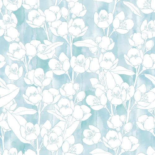 Jasmine. Vector blooming jasmine branches on blue watercolor