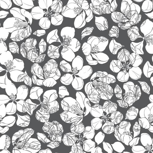 Apple tree. Vector apple tree flowers on gray