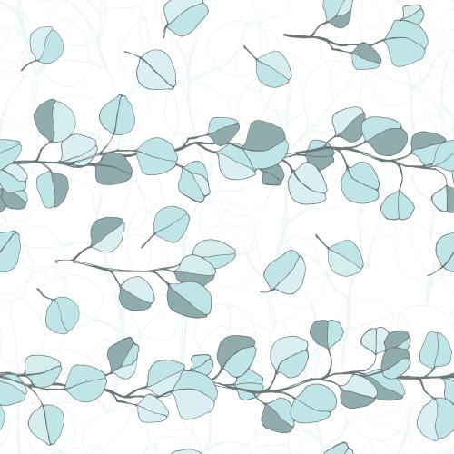Eucalyptus. Vector eucalyptus branches and leaves silhouettes and contours on white