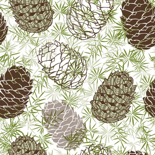 Christmas tree. Vector colored silhouettes and contours of cones, needles on white