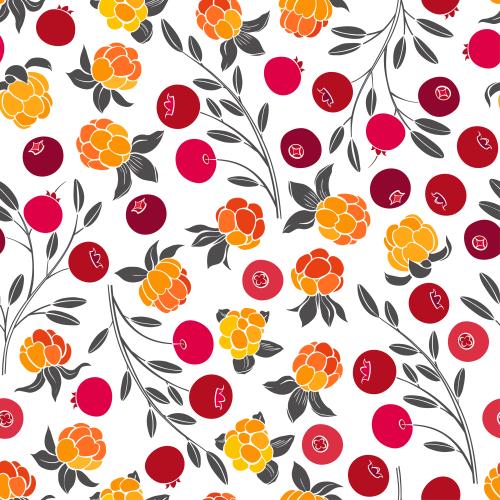 Cranberry. Vector cranberry and cloudberry on white