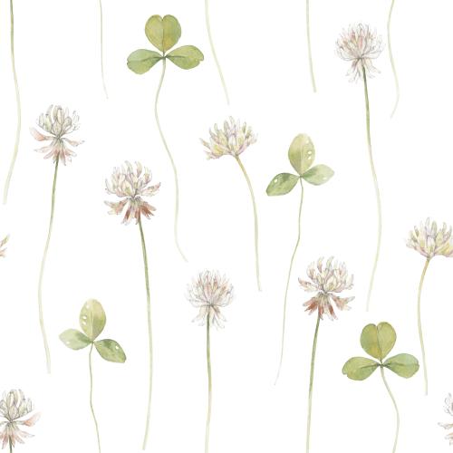 Raster image clover, watercolor flowers and leaves on white