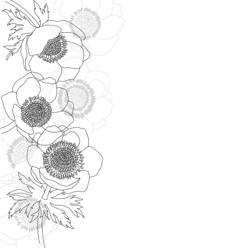 Anemone. Vector anemones place for text on white