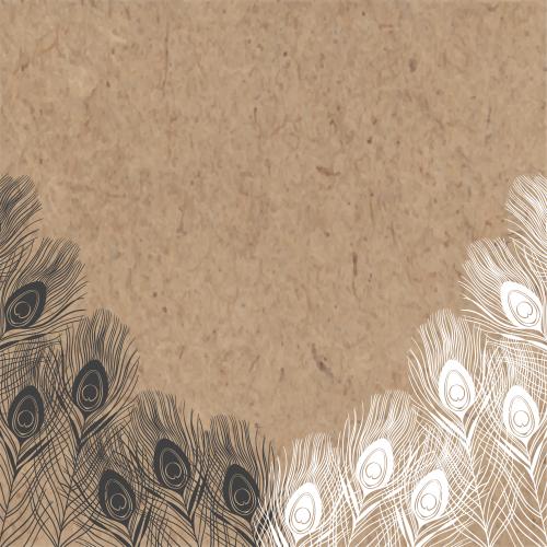 Peacock feather. Vector frame with peacock feathers, black and white silhouettes on craft