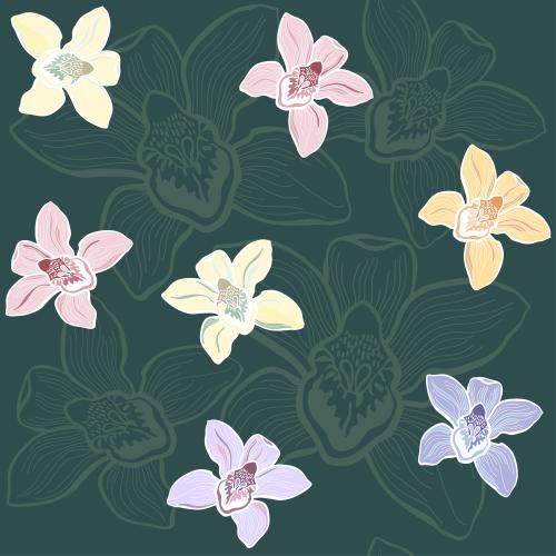 Orchid. Vector multicolored orchids on dark-green