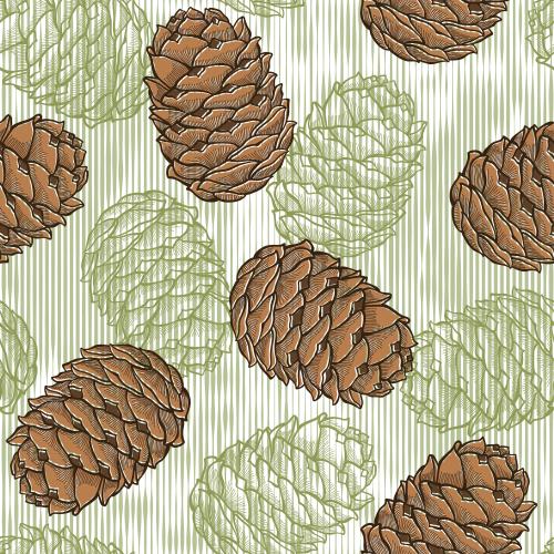 Cone. Vector pine cones silhouettes and contours on a striped