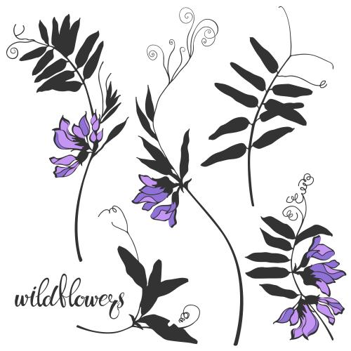 Illustration field flowers variations on white
