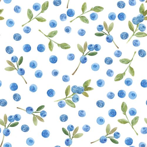 Raster image watercolor blueberry on white