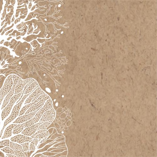 Ocean. Vector corals, marine algae, white silhouettes and contours on craft
