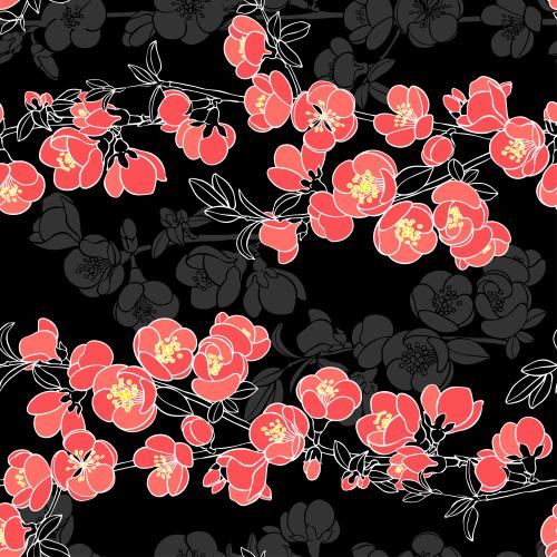 Japanese quince. Vector japanese loquat, branches with flowers on black
