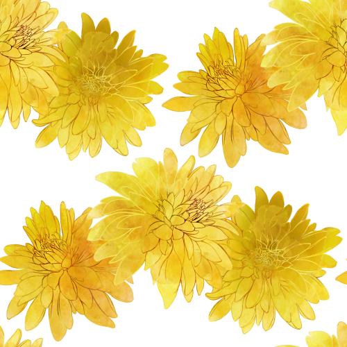 Raster image watercolor rudbeckia on white