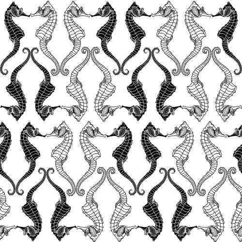 Vector image sea horses, black silhouettes and contours on white