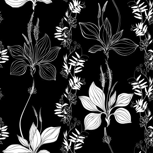 Vector image field flowers and plantain on black