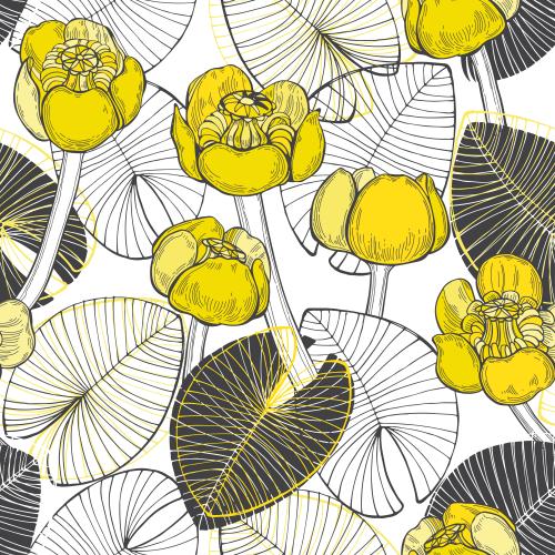 Floral. Vector water lilies with yellow flowers on white