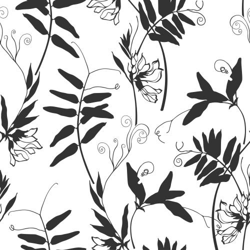 Illustration monochrome field flowers on white