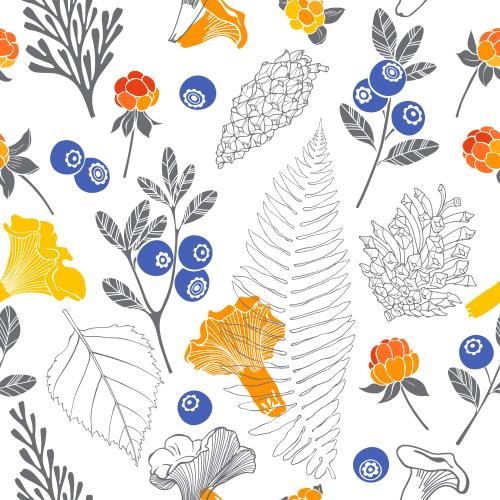 Cloudberry. Vector plant leaves, blueberry, cloudberry, chanterelle mushrooms, cones on white