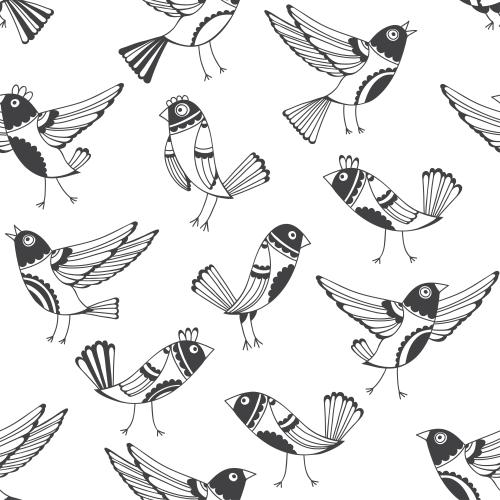 Vector image cartoon birds on white