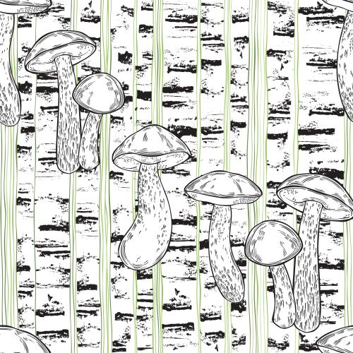 Vector image boletes stylized birch trunks colored vertical lines