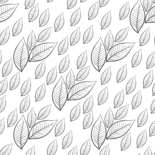 Vector image leaves on white