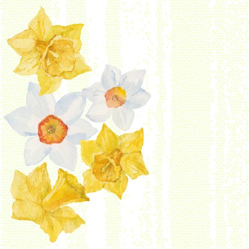 Vector image white and yellow daffodils, place for text on mosaic