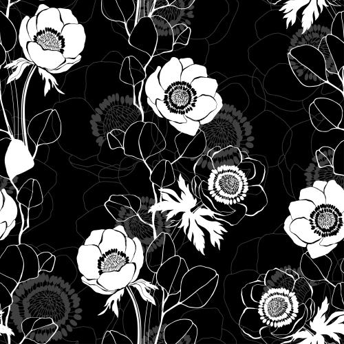 Eucalyptus. Vector anemones and eucalyptus branches, silhouettes and contours on black