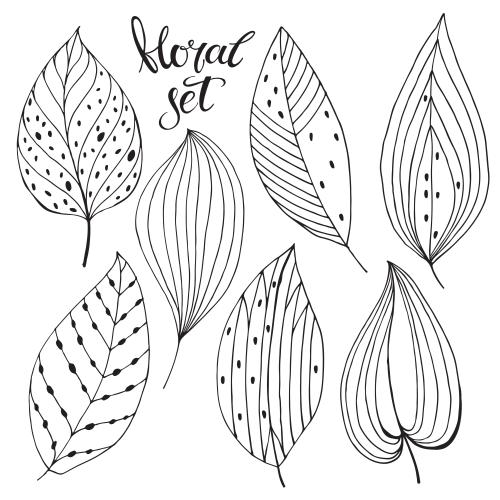 Illustration decorative leaves, black outlines on white, scandi style, various options