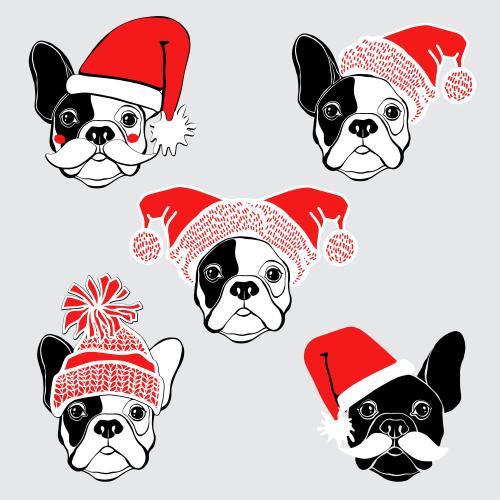 Dog. Vector cute little faces of french bulldogs in new year's hats