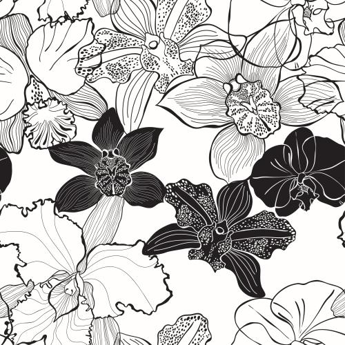 Orchid. Vector Pattern orchids black contours and silhouettes on white