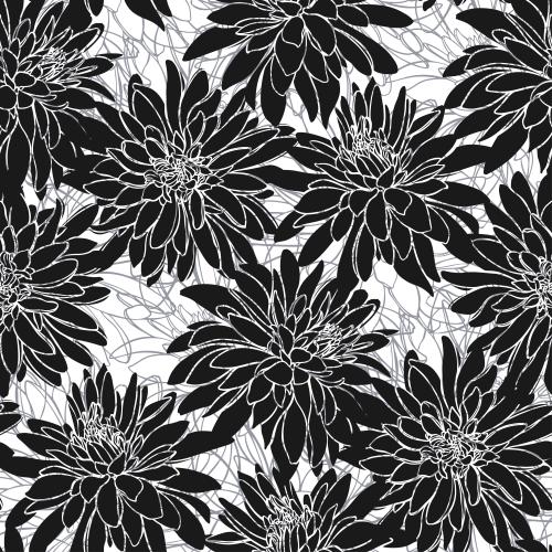 Rudbeckia. Vector rudbeckia silhouettes and contours on white