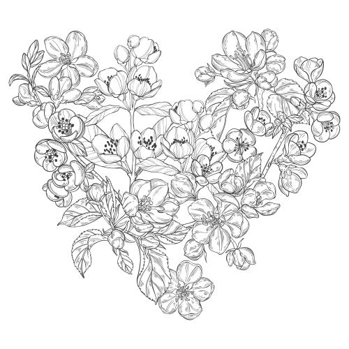 Apple tree. Vector apple blossom jasmine and japanese quince white composition