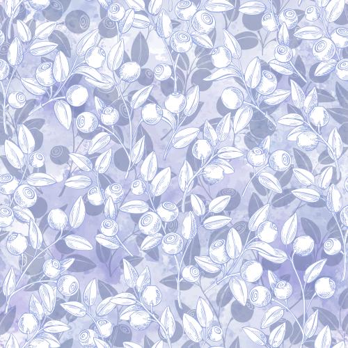 Illustration blueberry branches with berries on purple watercolor