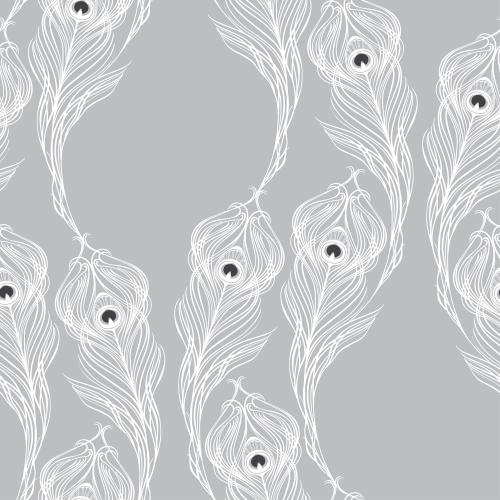 Feather. Vector feathers of the peacock white silhouettes on gray