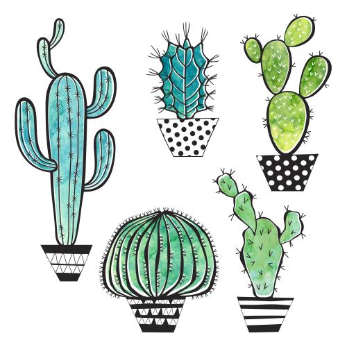 Raster image cacti in pots