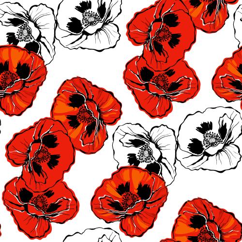 Poppy. Vector poppies on white