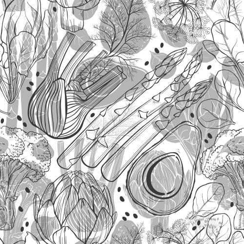 Broccoli. Vector avocado, artichoke, spinach, broccoli, fennel, asparagus, contours and silhouettes on white