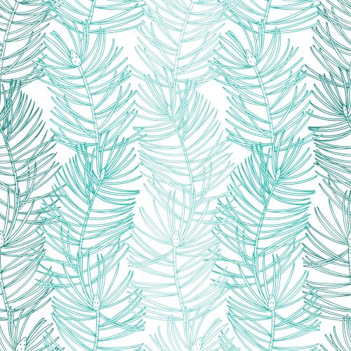 Pine. Vector colorful coniferous twigs on white