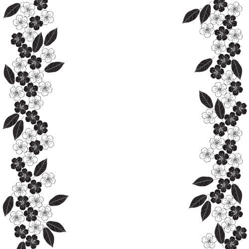 Sakura. Vector flowers and cherry blossom leaves, place for text on white