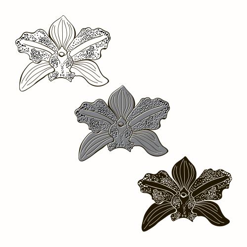 Illustration orchid flower with spotted petals on white, three different options