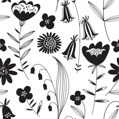Poppy. Vector field flowers in the style of doodle on white