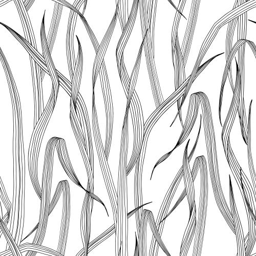 Grass. Vector grass on white