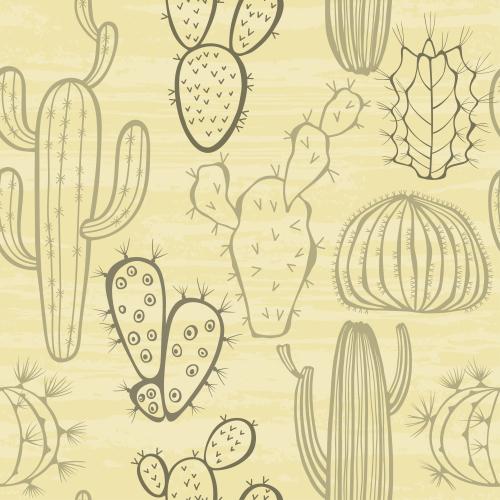 Cactus. Vector various types of cacti on a textured ochre