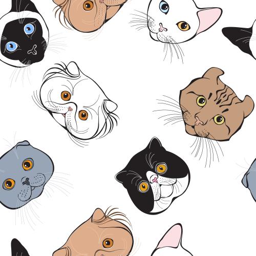 Vector image cute cat faces of different breeds on white