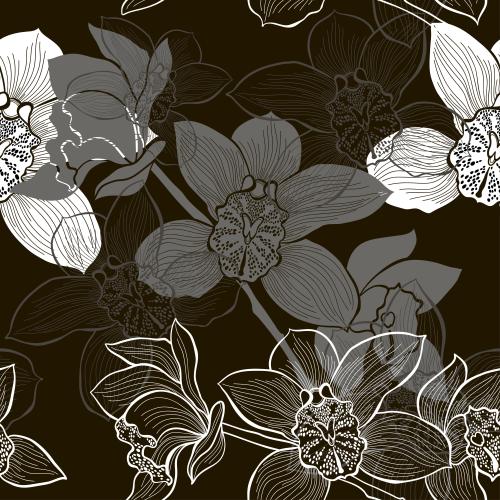 Orchid. Vector monochrome orchid flowers on black