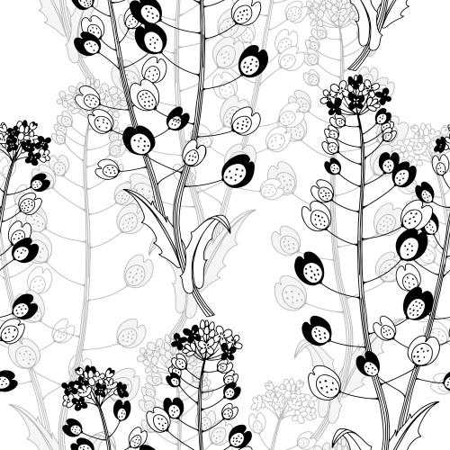 Grass. Vector Pattern meadow flowers on white